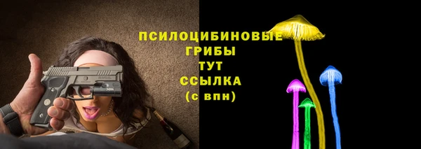 первитин Нея