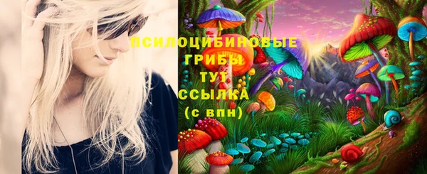 первитин Нея