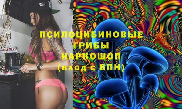 первитин Нея