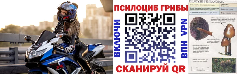 хочу наркоту  Нестеровская  это официальный сайт  Галлюциногенные грибы прущие грибы 
